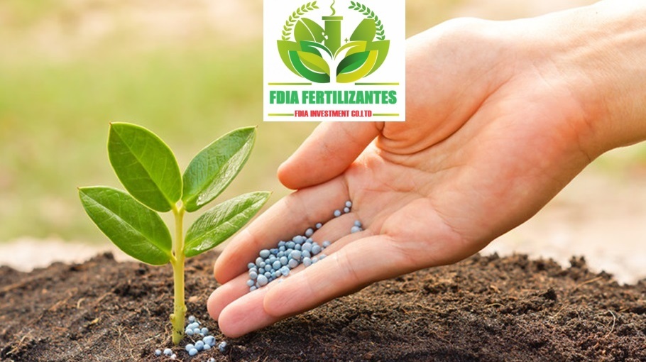 Keep fertilizer off pavement